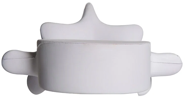 Personalized Vertebrae Stress Reliever — view 5