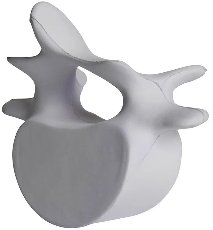 Personalized Vertebrae Stress Reliever — view 6