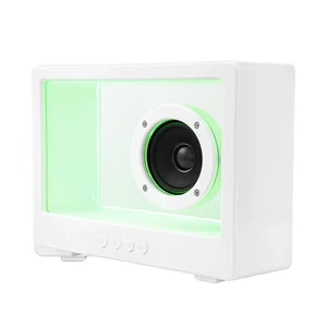 Visionary Light Up Speaker