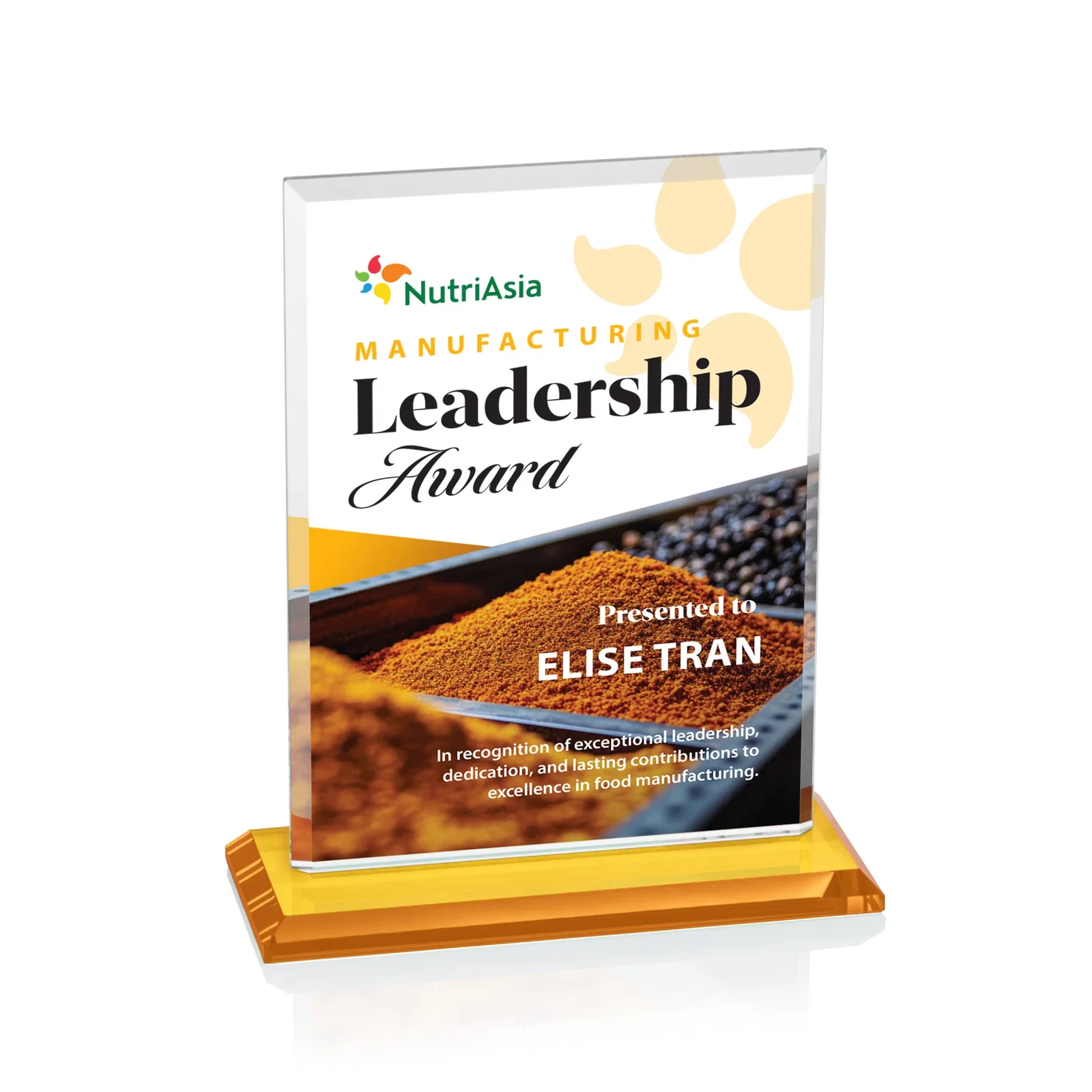 Customized Starfire Crystal Rectangle Award, Bevel on Body and Base, awards for safety achievement programs