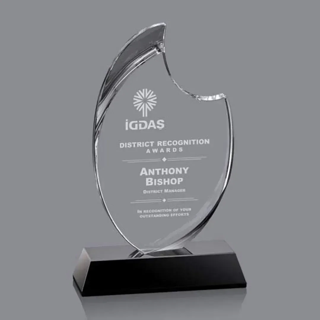 Waldorf Award — view 2