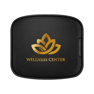 Wall Mount Wireless Speaker