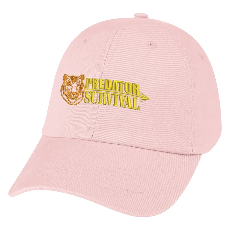 Washed Cotton Cap — view 6