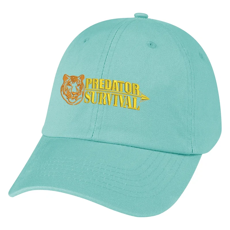 Washed Cotton Cap — view 8