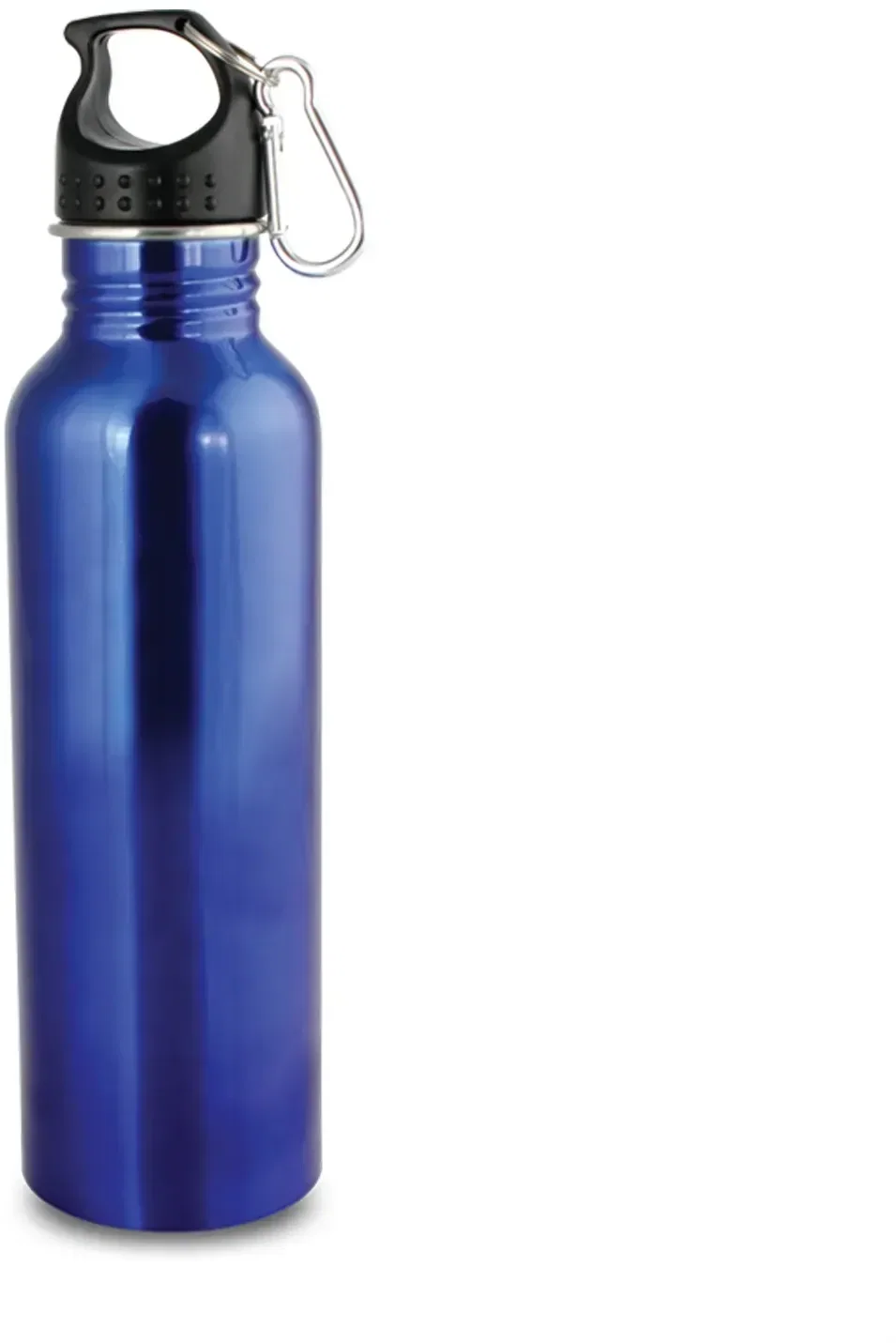 Custom 25oz Wide Mouth Stainless Steel Carabiner Water Bottle, in blue for donor appreciation