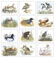 Good Value™ Wildlife Trek - Stapled Calendar — view 4