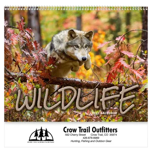 Wildlife Wall Calendar: 2025 Spiral Bound