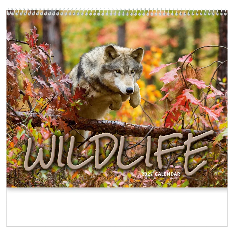 Wildlife Wall Calendar: 2025 Spiral Bound — view 6