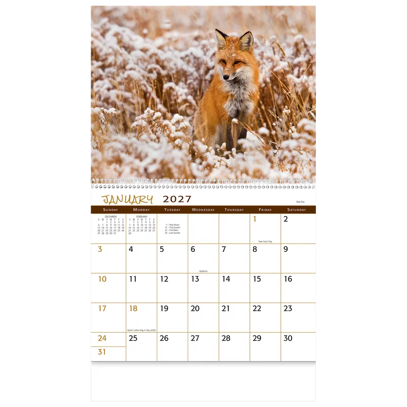 Wildlife Wall Calendar: 2025 Spiral Bound — view 7