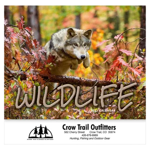 Wildlife Wall Calendar: 2025 Stapled