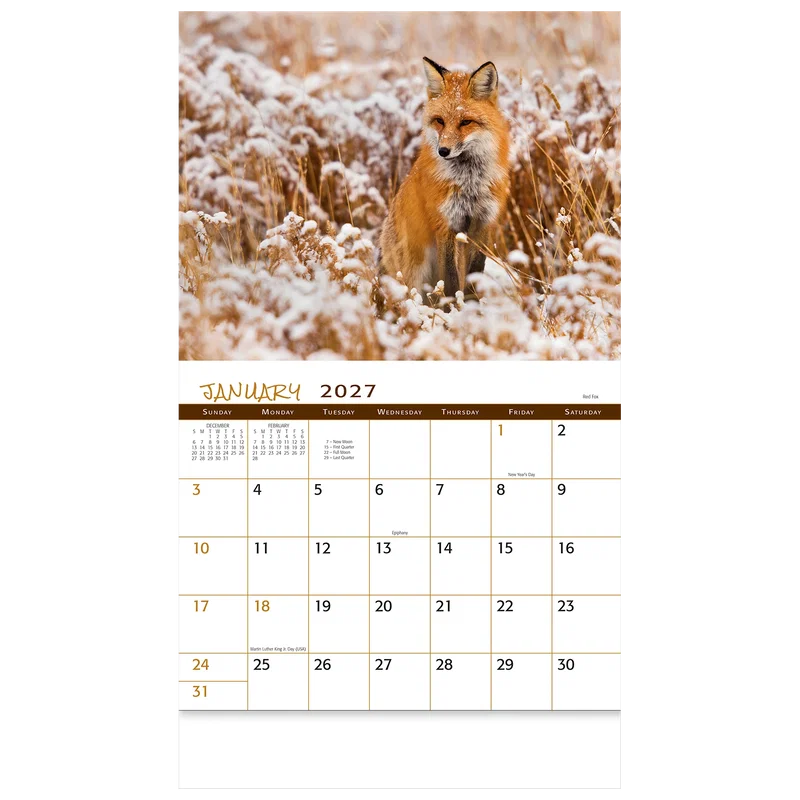 Wildlife Wall Calendar: 2025 Stapled — view 7