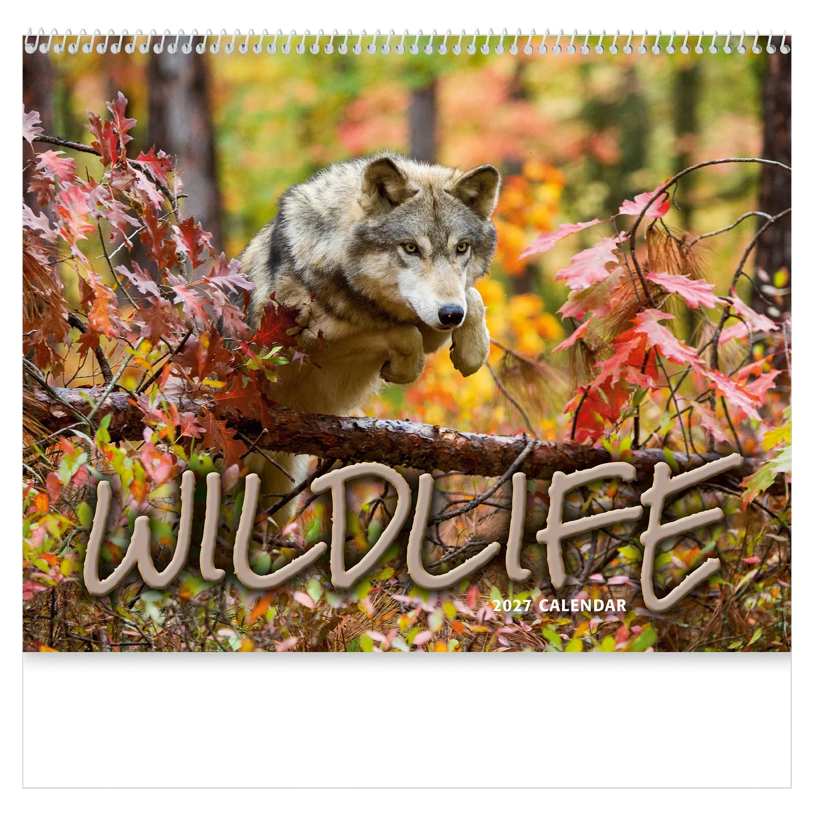 Wildlife Wall Calendar: 2025 Spiral Bound — view 6