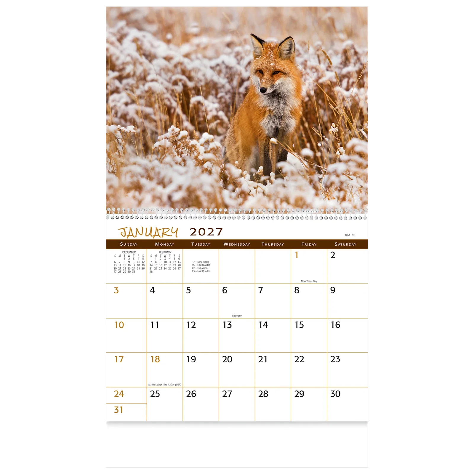 Wildlife Wall Calendar: 2025 Spiral Bound — view 7