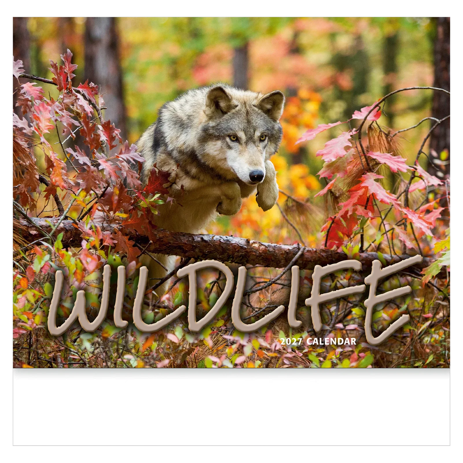 Wildlife Wall Calendar: 2025 Stapled — view 6