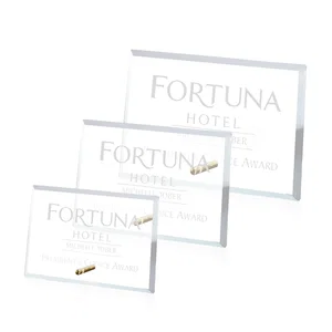 Starfire Crystal Horizontal Rectangle Award with Support Pin