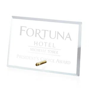 Starfire Crystal Horizontal Rectangle Award with Support Pin