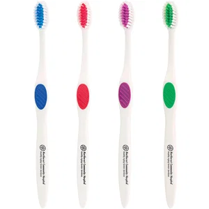Winter Accent Toothbrush