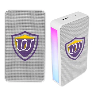 Wireless Wall Mount Speaker Set