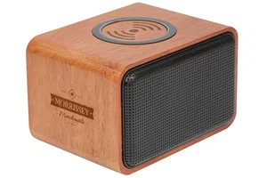 Wood Bluetooth Speaker and Wireless Charging Pad