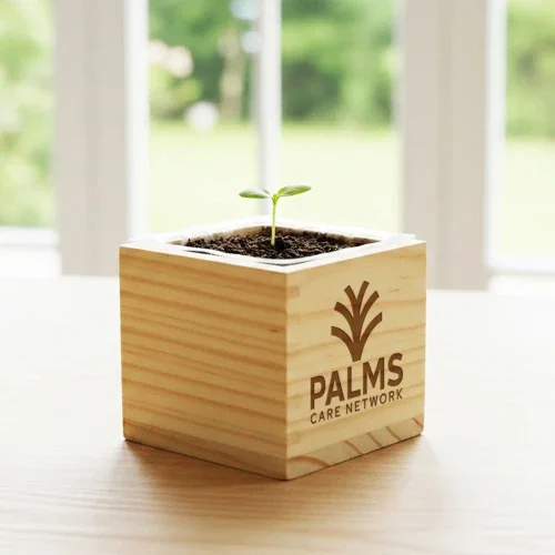 Wooden Cube Grow Kit with branded logo on natural wood cube, hero front view