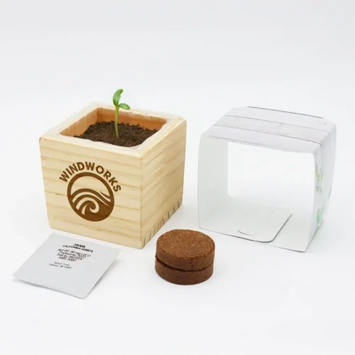 Wooden Cube Grow Kit in full-color presentation sleeve packaging, angled view