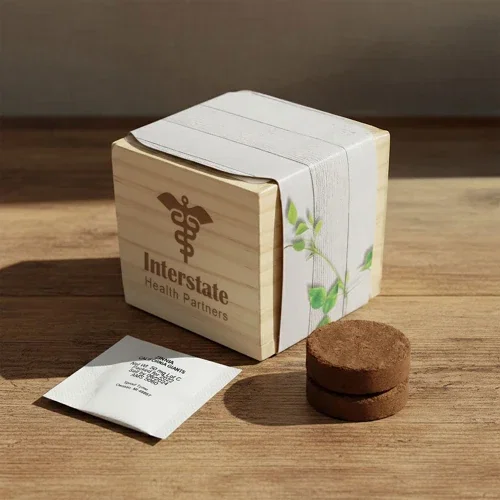 Wooden Cube Grow Kit top view of sprouting seedling in branded wood planter