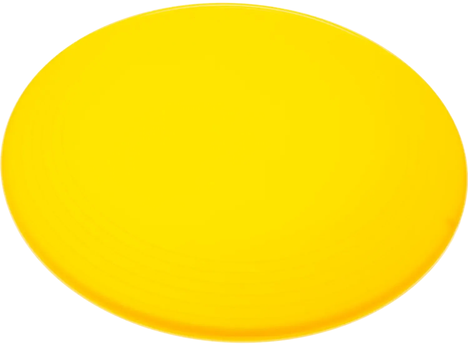 ZingBee Flyer Disc (9 1/4") — view 2