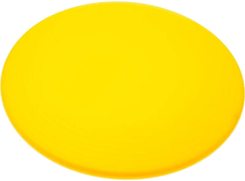 ZingBee Flyer Disc (9 1/4") — view 2