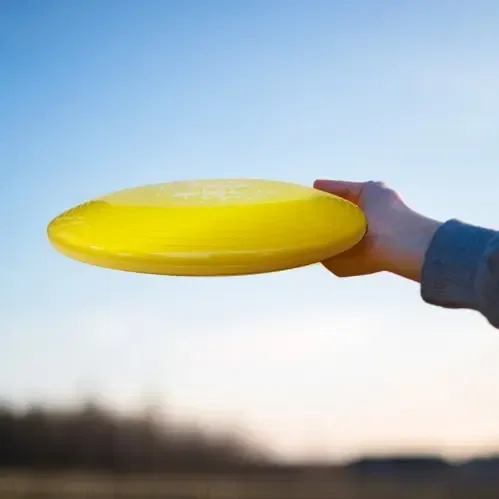ZingBee Flyer Disc (9 1/4") held in hand