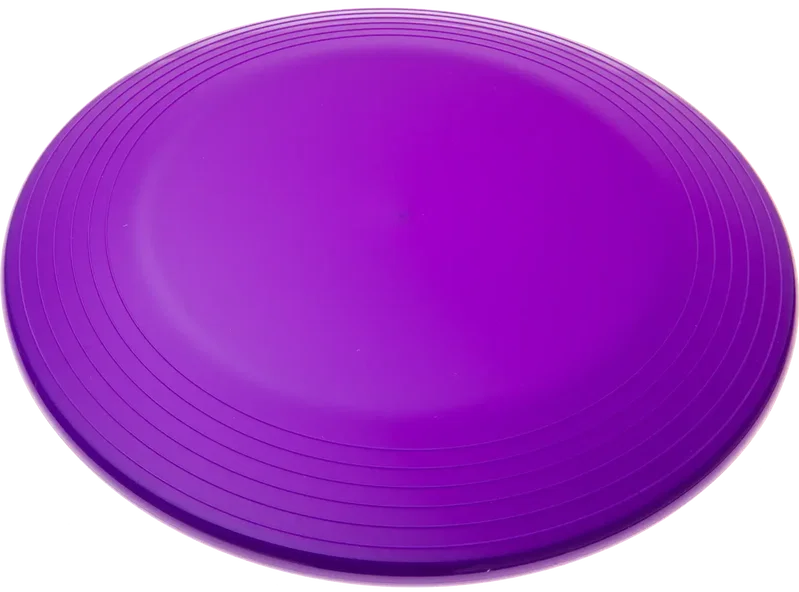 ZingBee Flyer Disc (9 1/4") — view 5
